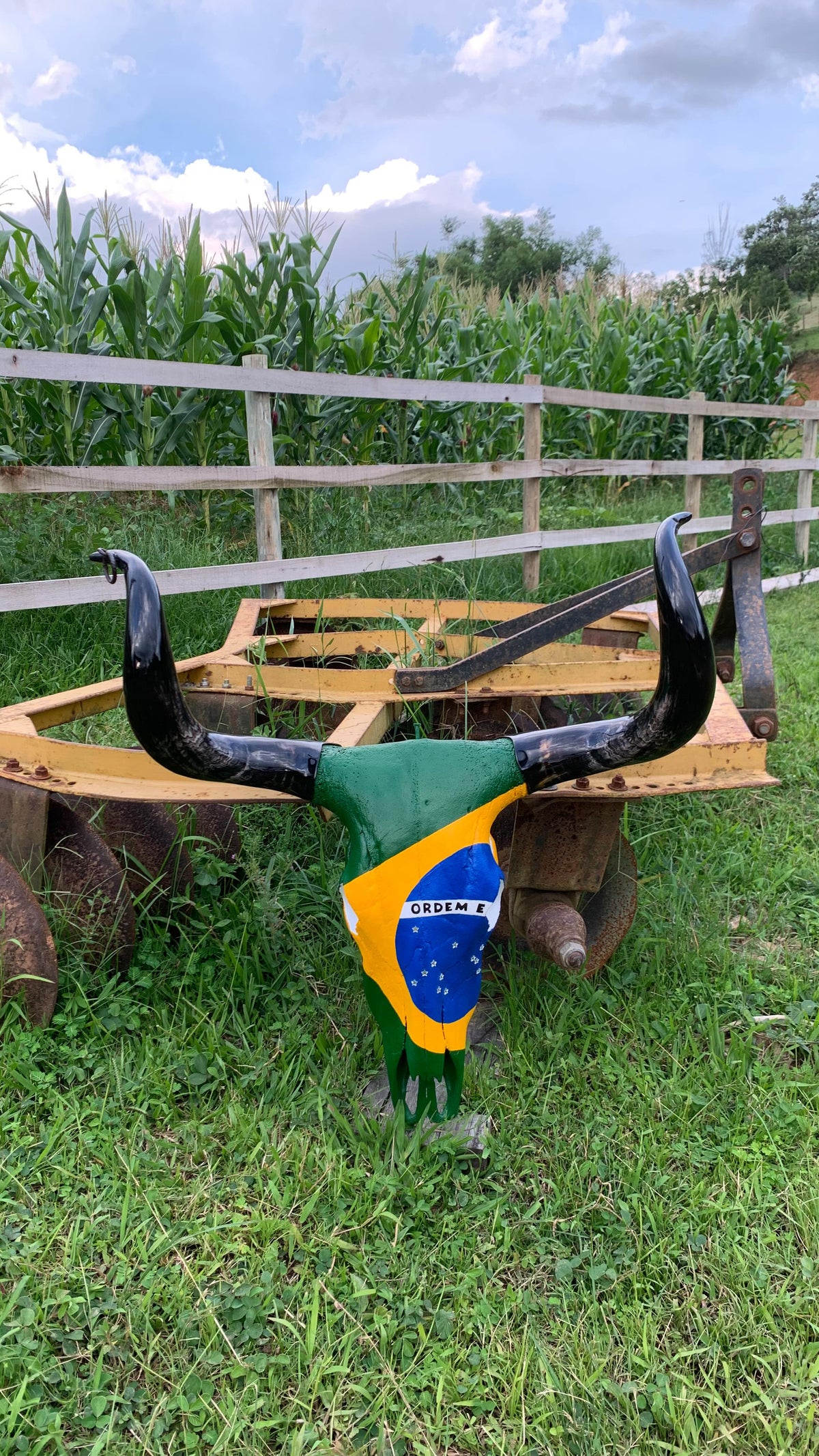 Caveira de Boi Decorativa com Bandeira do Brasil