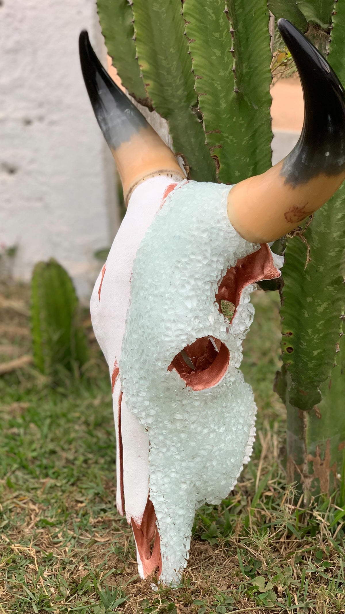 Caveira de Boi Decorativa – Estilo Rústico Autêntico