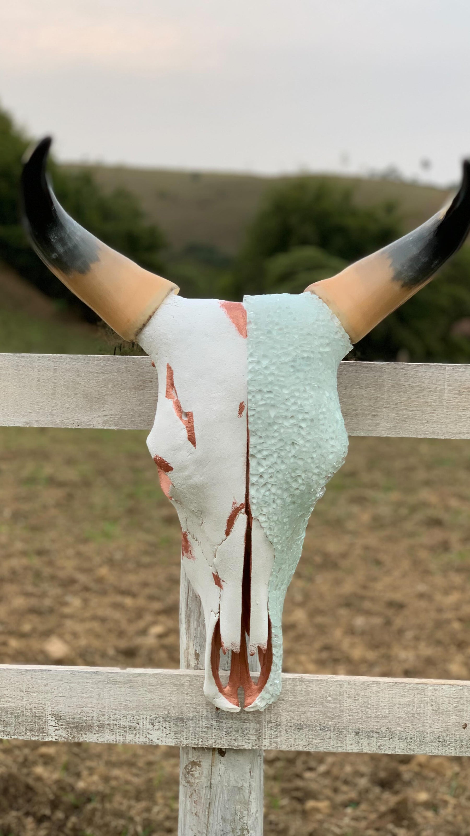 Caveira de Boi Decorativa – Estilo Rústico Autêntico