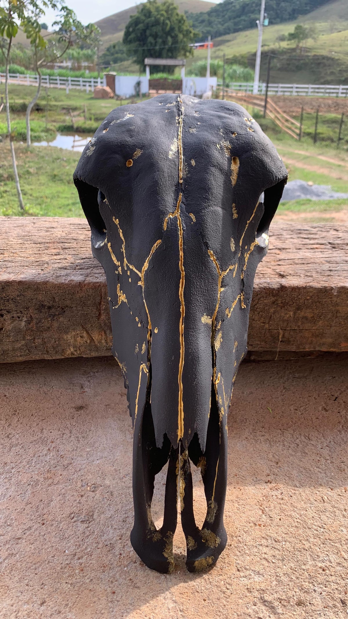 Caveira de Boi Decorativa Preta com Detalhes Dourados – Estilo Kintsugi