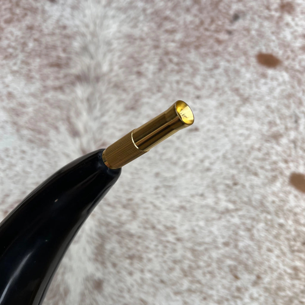 Buzina Com Paleta de Toque