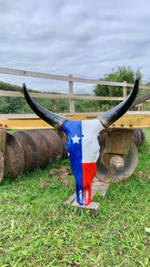 Caveira de Boi Decorativa com Pintura Inspirada na Bandeira do Maranhão – Estilo Autêntico