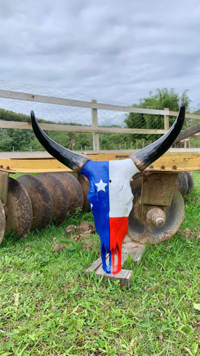Caveira de Boi Decorativa com Pintura Inspirada na Bandeira do Maranhão – Estilo Autêntico