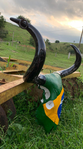 Caveira de Boi Decorativa com Bandeira do Brasil